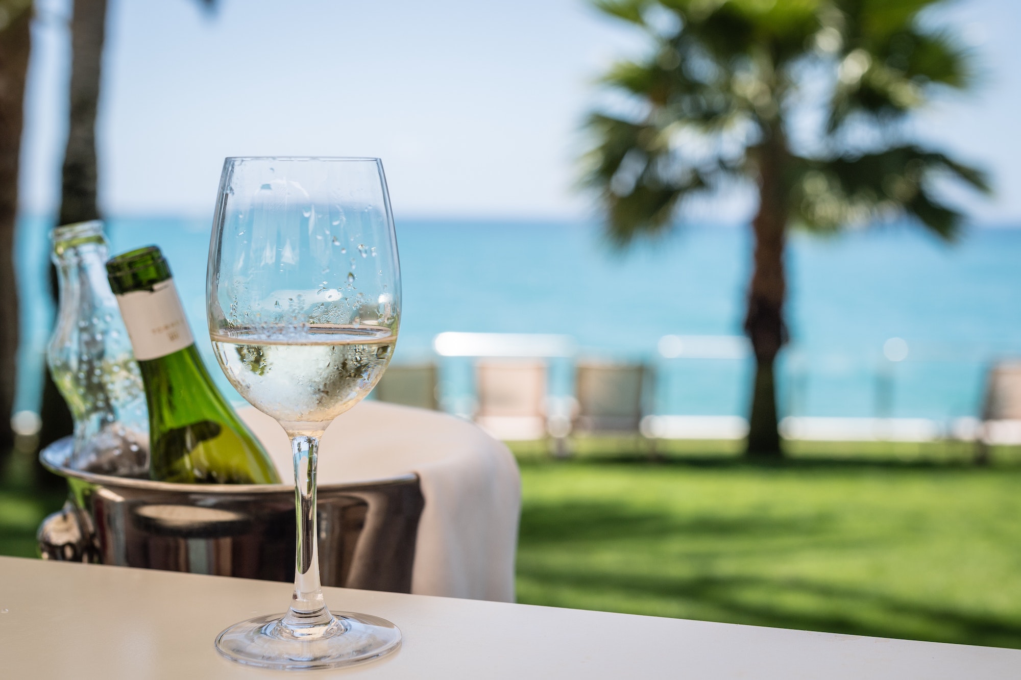 a glass of wine with a sea view